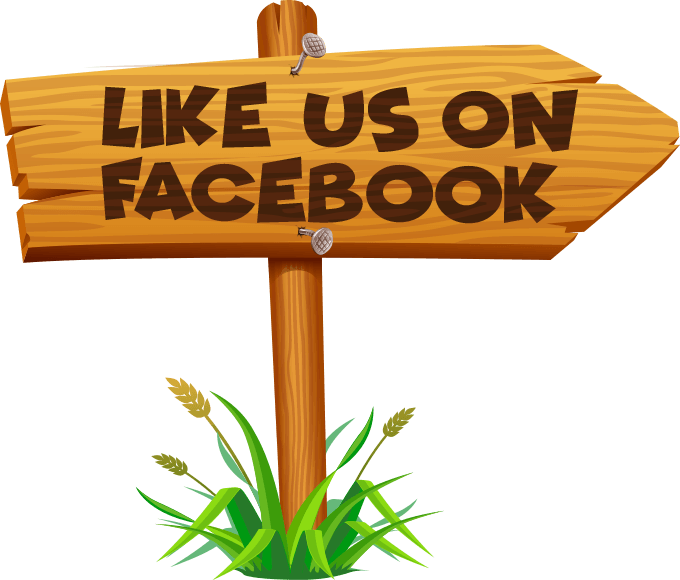 Bounce House Rental in Atlanta Fly High Bounce House